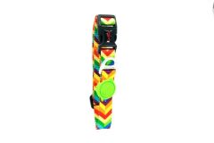 Tailpetz Rainbow Boyun Tasması L