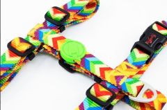 Tailpetz Rainbow Göğüs Tasmasi M