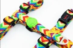 Tailpetz Rainbow Göğüs Tasmasi L