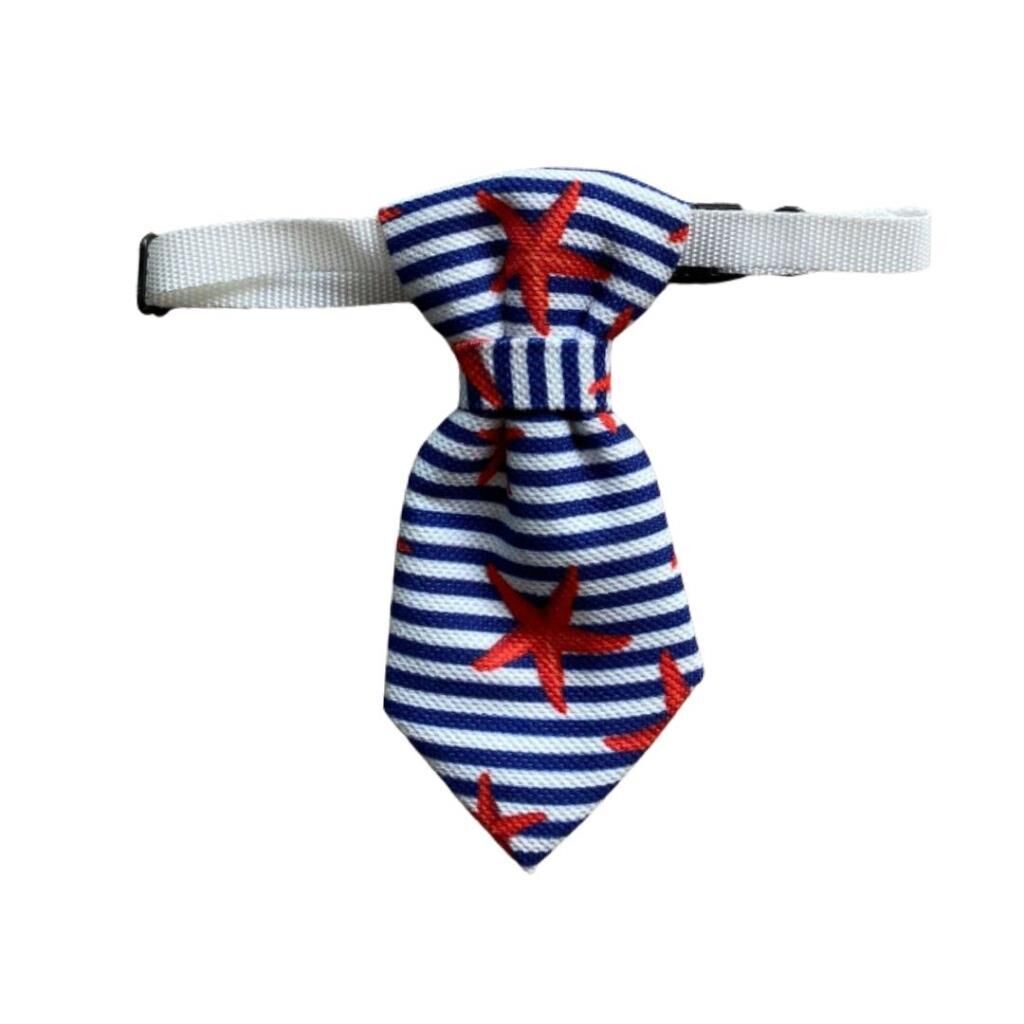 Minik Paw Kartela Deniz Yıldızlı Kravat