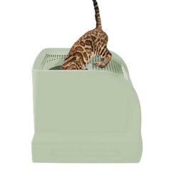 Imac Frida Üstten Girisli Elekli ve Çekmeceli Kedi Tuvaleti Yeşil 56x40x43,5 Cm