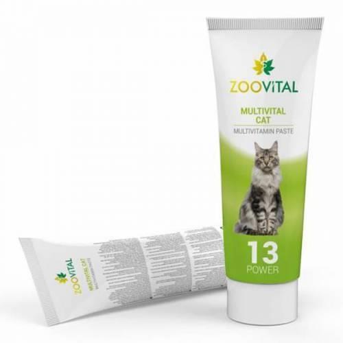 Zoovital Multivitamin Kedi Macunu 100gr