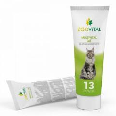 Zoovital Multivitamin Kedi Macunu 100gr