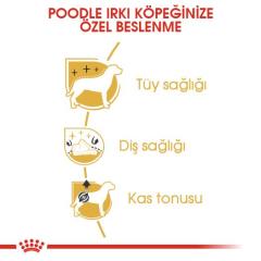 Royal Canin Poodle Adult Köpek Maması 3 Kg