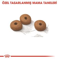 Royal Canin Light Weight Kedi Maması 8 Kg