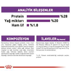 Royal Canin Giant Adult Dev Irk Köpek Maması 15 Kg