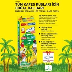 Kiki Excellent Kuş Doğal Dal Darı