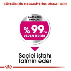 Royal Canin Mini Exigent Köpek Maması 3 KG