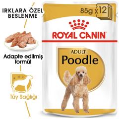 Royal Canin Poodle Yetişkin Pouch Yaş Köpek Maması 85 gr