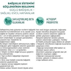 Optimeal Somonlu Kısırlaştırılmış Kedi Maması 10 Kg