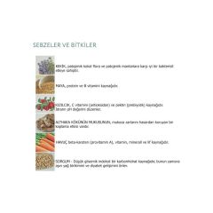 Optimeal Somonlu Kısırlaştırılmış Kedi Maması 10 Kg