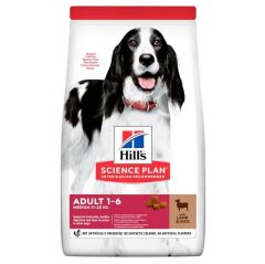 Hills Kuzu Etli Yetişkin Medium Köpek Maması 2.5 Kg