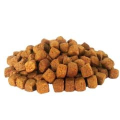 Jungle Kuzu Etli Yetişkin Köpek Maması 2,5 Kg
