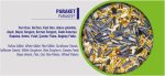 Vividbird Karışık PARAKET Yemi 20 Kg - Görsel 2